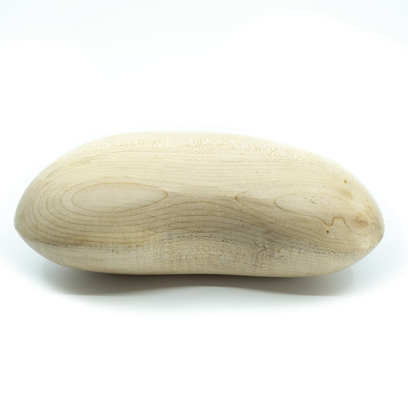 Graine de haricot