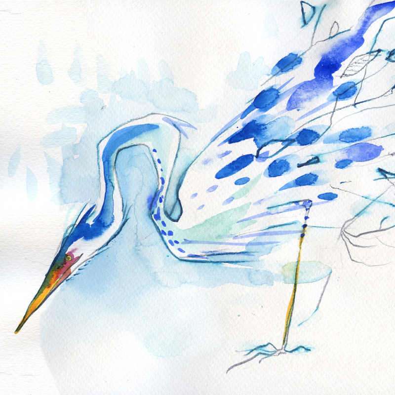 Faune et flore