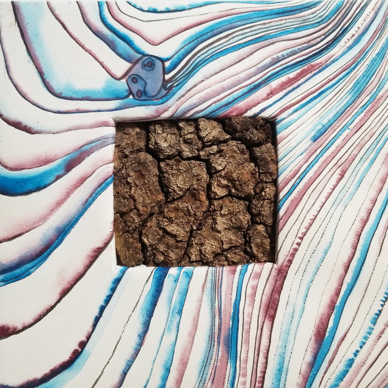 Wood / Bark